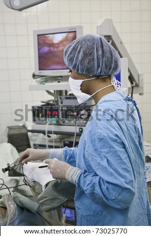 Surgical nurses delivers instrument the surgeon during surgery