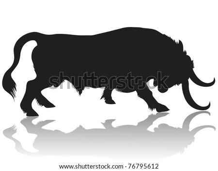 a black bull