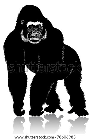 Big Black Gorilla