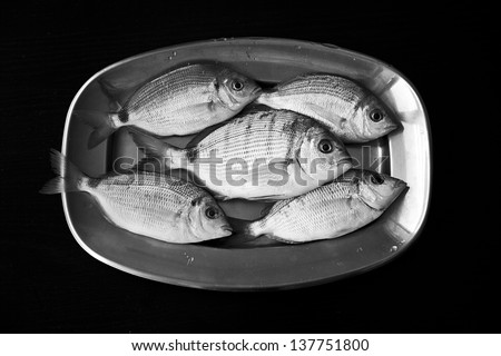 Close up fish on silver tray.  Fresh fish seafood
