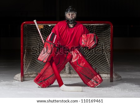 Ice hockey goalie in front of a goal net