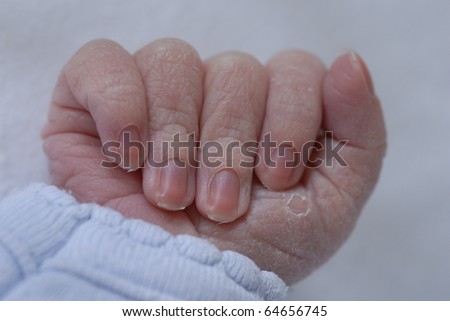 The tiny hand of a newly born baby.