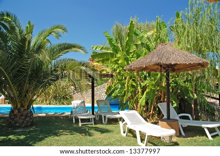 dream summer vacation under palm tree