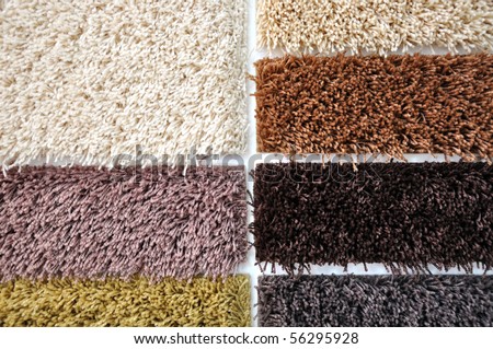 Carpet color variations store samples