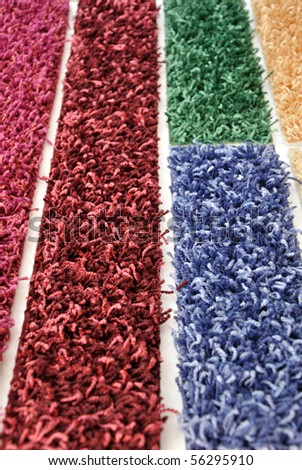Sample colors  of shaggy like carpets
