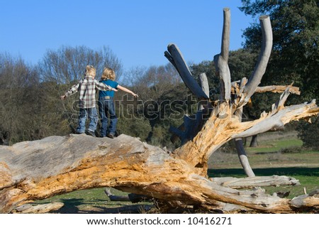 Adventure Game. Two Kids Balancing on a Log
