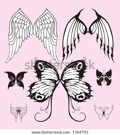stock vector all kinds of wings vector