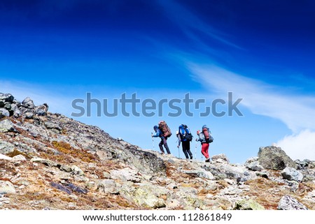 Group of hikers in the mountain