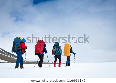 Group of hikers in the mountains