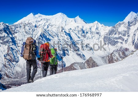 Group Of Hikers In The Mountains