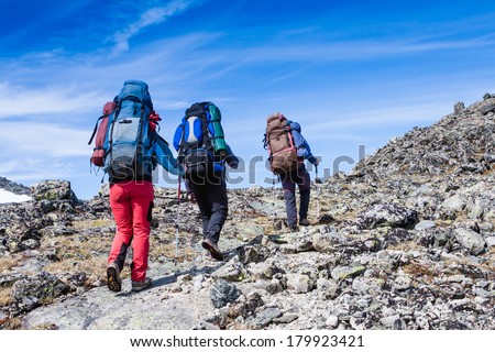 Hikers group trekking in rocky mountains