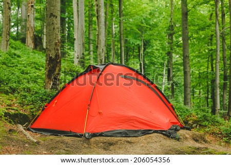 red tent in the green sunny forest