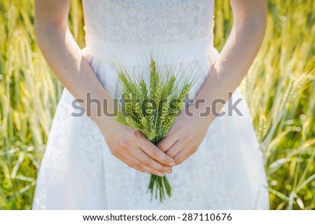 woman hand hold wheat ears