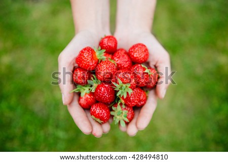 Fresh strawberries closeup. Woman holding strawberry in hands