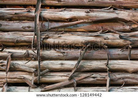 old cut tree logs piled up, Close up