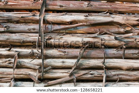 old cut tree logs piled up, Close up