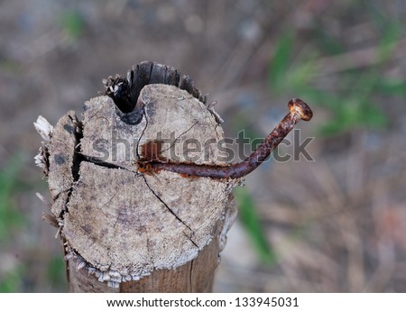 Rusty nail in wood close up