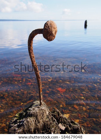 old rusty nail on the lake