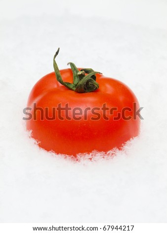Tomato on snow