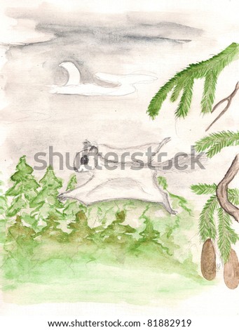 flying squirrel. watercolor