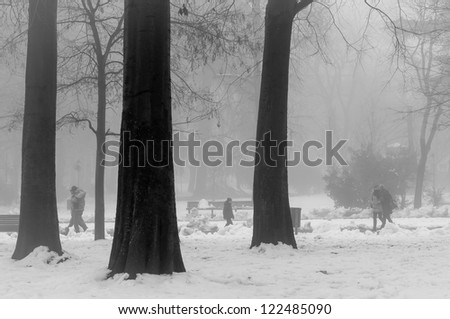 people walking in foggy winter landscape with snow
