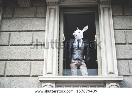 rabbit mask man appeared at the window in the city