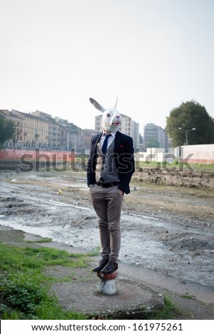 rabbit mask man in a desolate landscape river