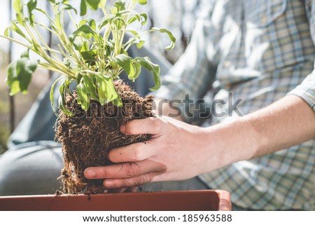 close up of man hand gardening at home