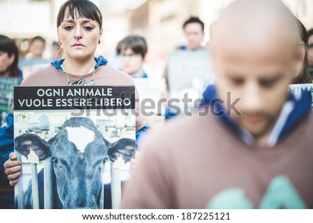 MILAN, ITALY - APRIL 13: Essere Animali protest on April, 13 2014: a group of activists of animal rights association \'Essere Animali\' performed with real dead lambs in city center before easter