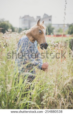 horse mask absurd man in the grass