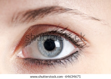 beautiful blue eye girl macro