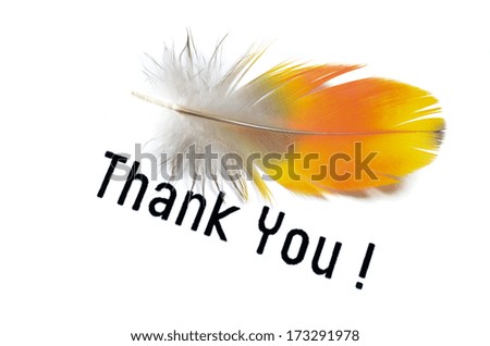 A Real MACAW bird Feather with words THANK YOU. Natural colors: Red, Yellow and Orange. Isolated on white background.