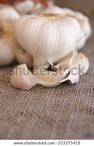 Individual garlic cloves are the focus of this rustic looking photo. Whole garlic bulbs are blurred in the background, and the entire group is sitting on a coarse burlap fabric.