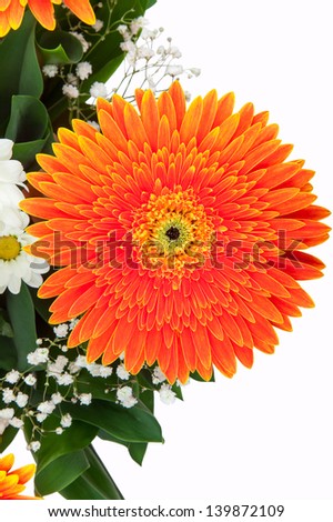 Fragment of bouquet of orange gerberas isolated on a white background