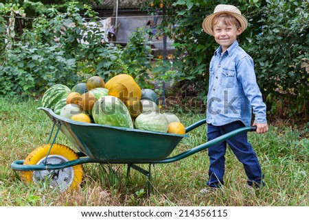 Boy with a full wheelbarrow in garden helps harvest crops