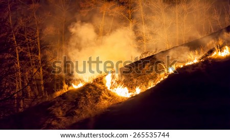 Large bright fire of bushfire at night