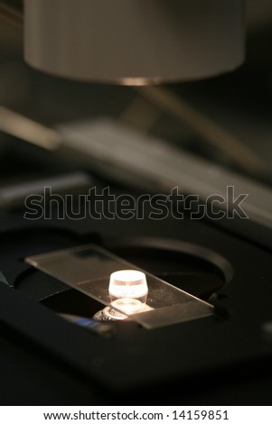 small object in microscope