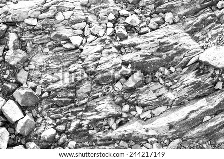 Black and White Rock Texture