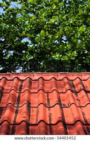 Red roof of Thai house under the leaf of big tree, their fuction is same
