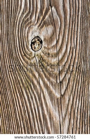 Wood Bench Texture