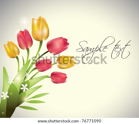 Tulips Bouquet.Vector - 76771090 : Shutterstock