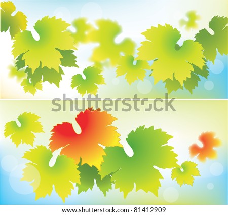 Nature Banners/Abstract Grapevine Leaves on Bokeh Background.Vector Illustration