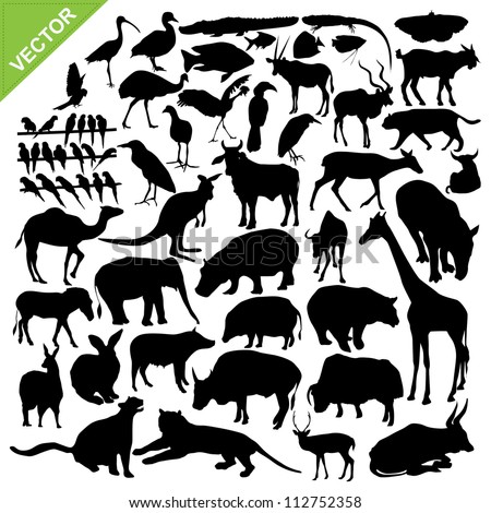 Animal Silhouette Pictures