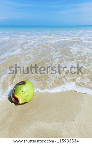 Coconut in a wave line. Vertical shot.
