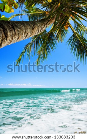 Tropical sea. Vertical composition.