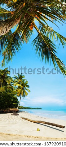 Idyllic tropical beach in sunny day. Vertical panorama.