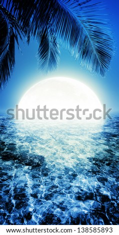 Tropical night. Vertical panoramic composition.