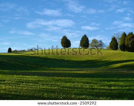 Scenic view of a grassy hill with trees in summer