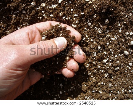 View of a person\'s hand checking the soil before planting.