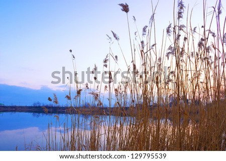 Sunset over the water, Fishing ground, photography
